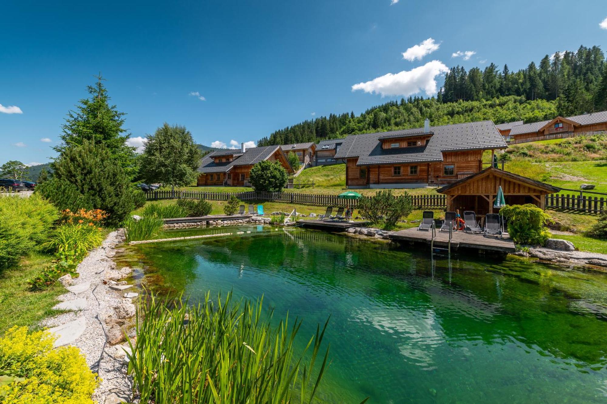Poolchalet Dachsteinblick พรุกแกร์น ภายนอก รูปภาพ